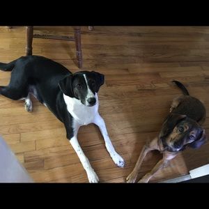 Meet your Posher, Caitlin